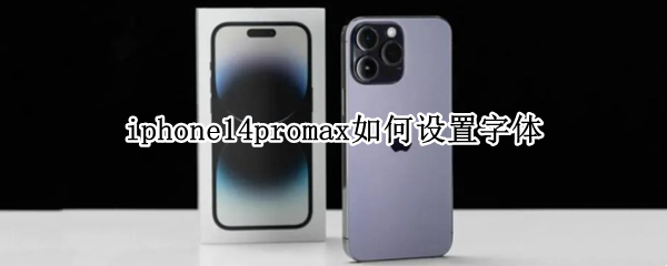 iphone14promax如何设置字体（iphone12promax怎么变换字体）