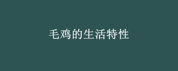 毛鸡的生活特性 鸡的生活特点