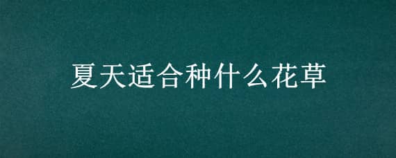 夏天适合种什么花草 夏天适合种什么花草