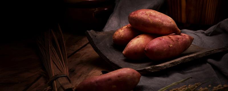 烤红薯的热量和蒸红薯的热量哪个高 烤红薯的热量和蒸红薯的热量哪个高些