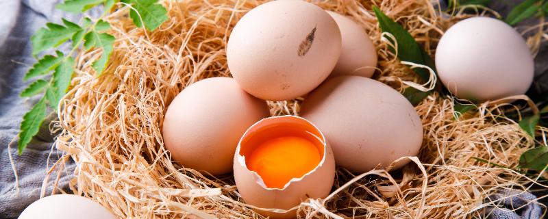 土鸡蛋的蛋黄什么颜色是正常的 土鸡蛋的蛋黄什么颜色是正常的图片