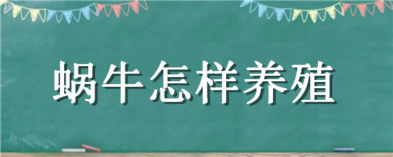 蜗牛怎样养殖（蜗牛怎样养殖和管理）