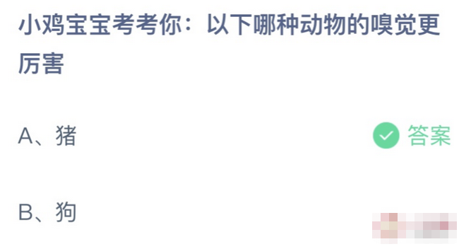 以下哪种动物的嗅觉更厉害？猪还是狗？蚂蚁庄园11月8日答案早知道