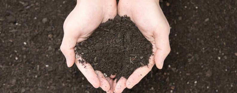 土壤肥力与哪些因素有关 土壤肥力与哪些因素有关系