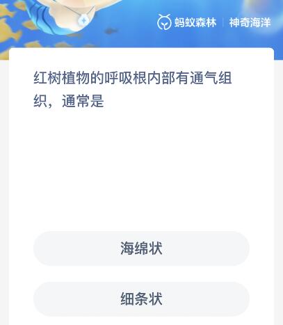 红树植物的呼吸根内部有通气组织通常是？神奇海洋11月15日最新答案