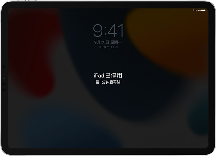 ipad已停用,连接itunes什么意思