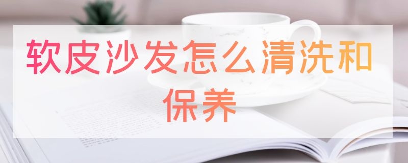 软皮沙发怎么清洗和保养（软皮沙发怎么清洗和保养好）