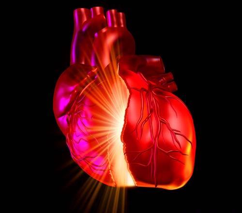 心肌炎早期症状是什么 心肌炎早期症状是什么意思