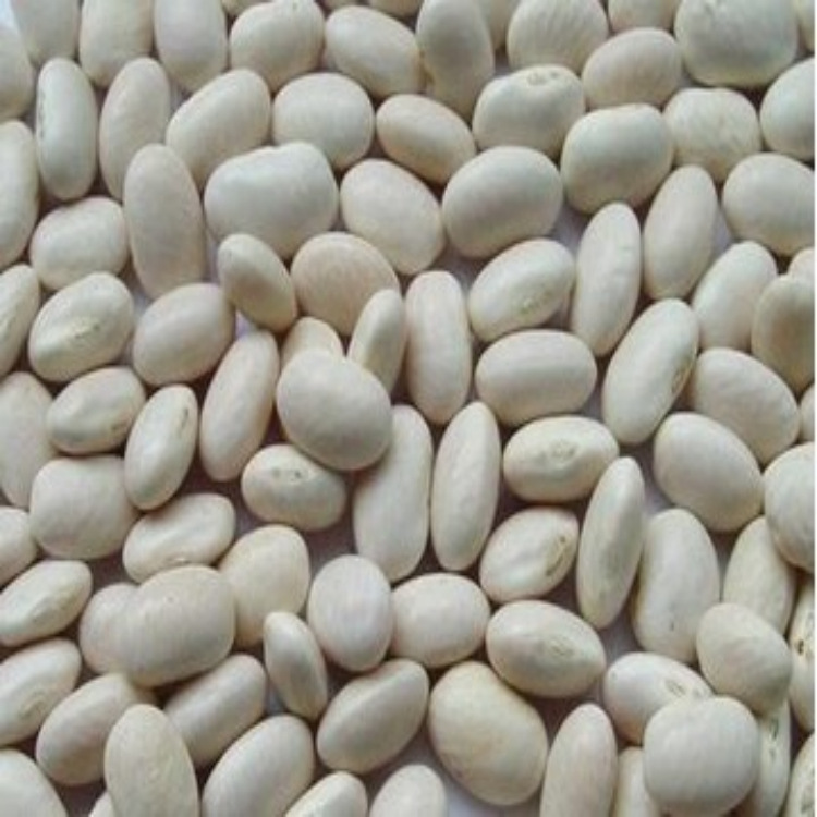 白芸豆与白扁豆的区别是什么呢 白芸豆与白扁豆的区别是什么呢