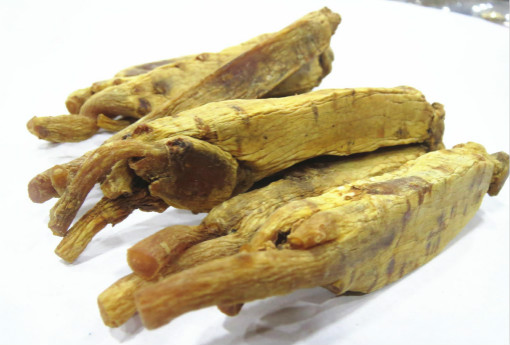 高丽参（高丽参的价格多少）