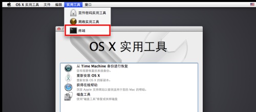 VMware 10 上安装Mac OS X 10.9 系统图文详解教程