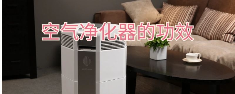 空气净化器的功效 空气净化器的功效与作用蒲公英茶的功效与作用