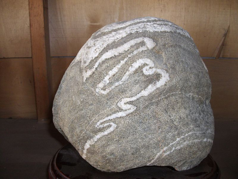 龙纹石的基本介绍和作用 龙纹石的基本介绍和作用图片
