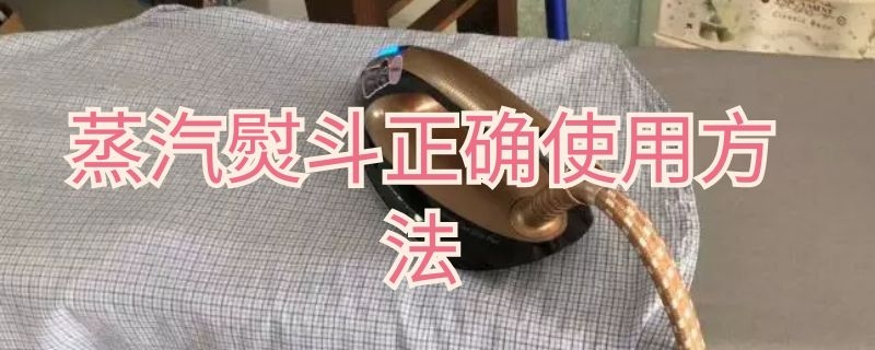 蒸汽熨斗正确使用方法（蒸汽熨斗正确使用方法图片）