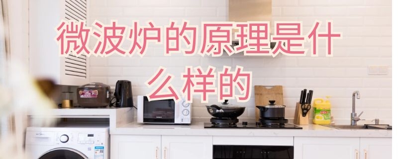 微波炉的原理是什么样的（微波炉的基本原理）