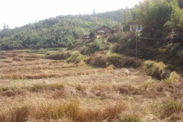 农村土地纠纷*有利的证据（农村土地纠纷处理依据）