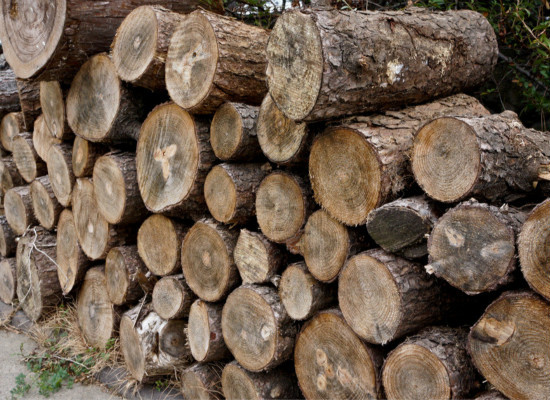 橡胶木：让环保伴随一生 橡胶木 环保