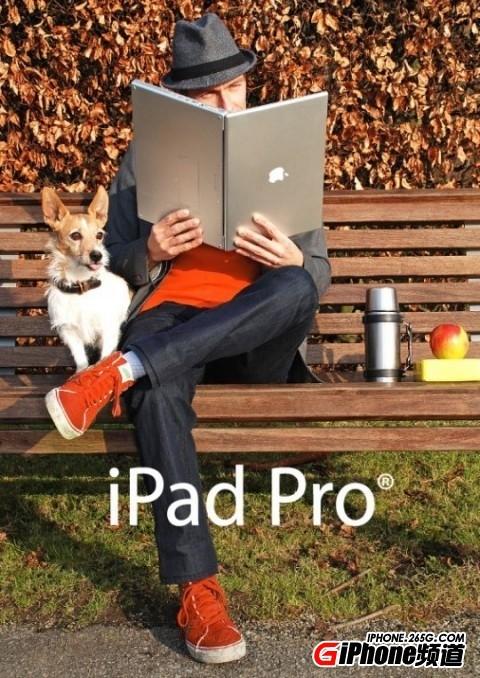 12.9寸iPad（12.9寸ipadpro一代是哪一年的）