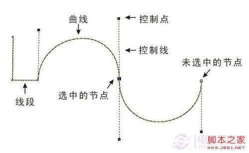 如何用好PS中的钢笔工具 ps钢笔工具小技巧