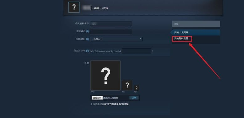 steam隐私设置在哪