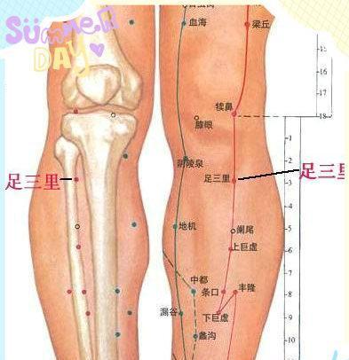 “三九天”穴位按摩巧养生