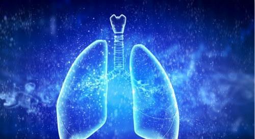 肺透明膜病