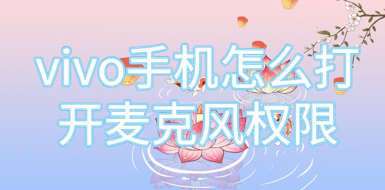 vivo手机怎么打开麦克风权限 vivo手机怎么打开麦克风权限