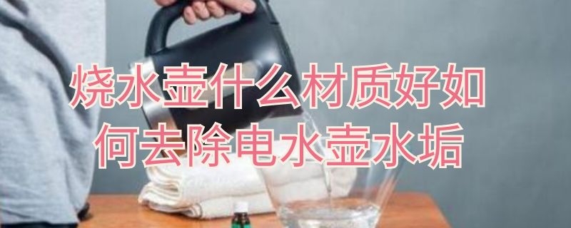 烧水壶什么材质好如何去除电水壶水垢