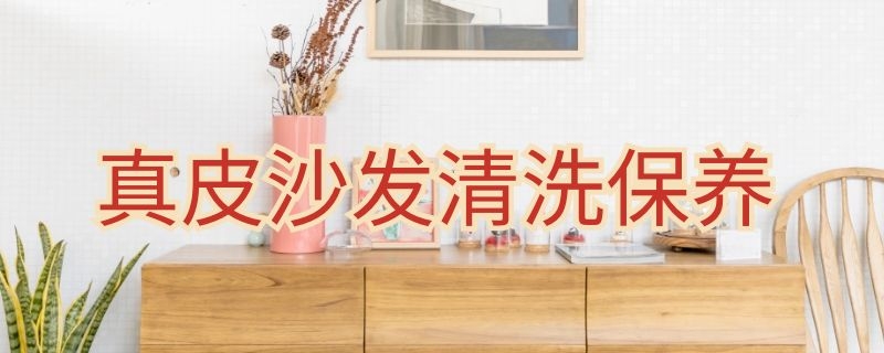 真皮沙发清洗保养