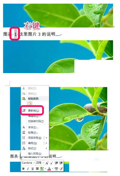 Word文档中图表目录怎么自动生成?