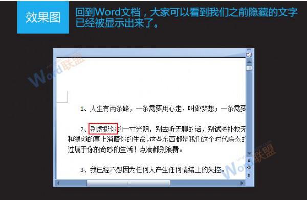Word2007如何隐藏和显示文字