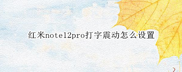 红米note12pro打字震动怎么设置（红米10pro打字震动怎么取消）