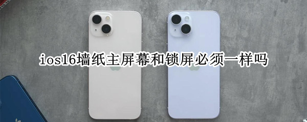 ios16墙纸主屏幕和锁屏必须一样吗（苹果锁屏壁纸和桌面壁纸可以设置不一样吗）