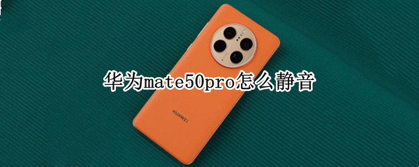 华为mate50pro怎么静音（华为mate30e pro怎么静音）