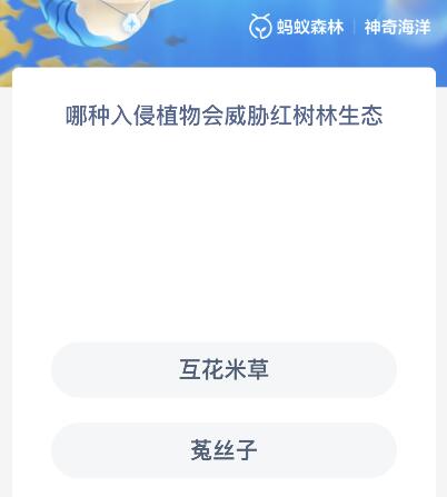 哪种入侵植物会威胁红树林生态？神奇海洋11月29日今天答案最新