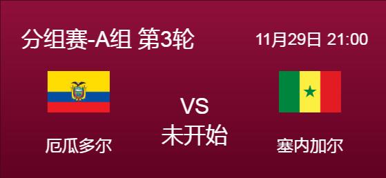 世界杯厄瓜多尔vs塞内加尔谁厉害能赢（厄瓜多尔和秘鲁比赛）