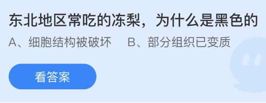 蚂蚁庄园12月9日答案最新：我国古代蹴鞠用的球曾用哪种材料制作？冻梨为什么是黑色的？