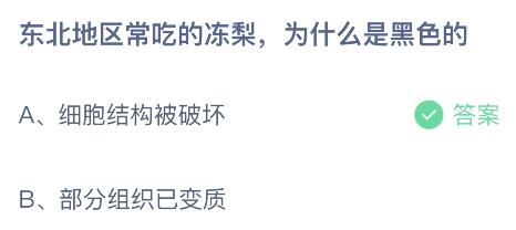 东北地区常吃的冻梨为什么是黑色的 东北地区常吃的冻梨为什么是黑色的呢