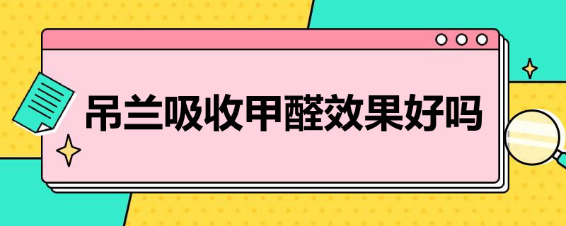 吊兰吸收甲醛效果好吗 吊兰能吸收甲醛吗有科学依据吗