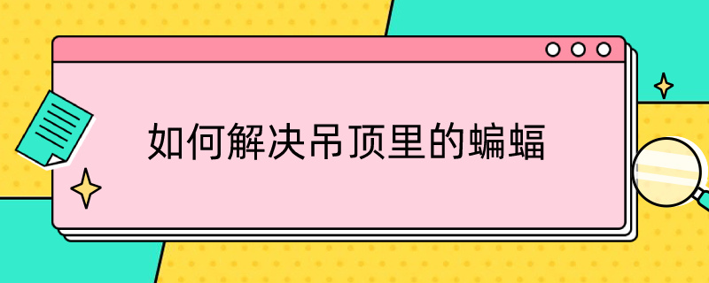 如何解决吊顶里的蝙蝠