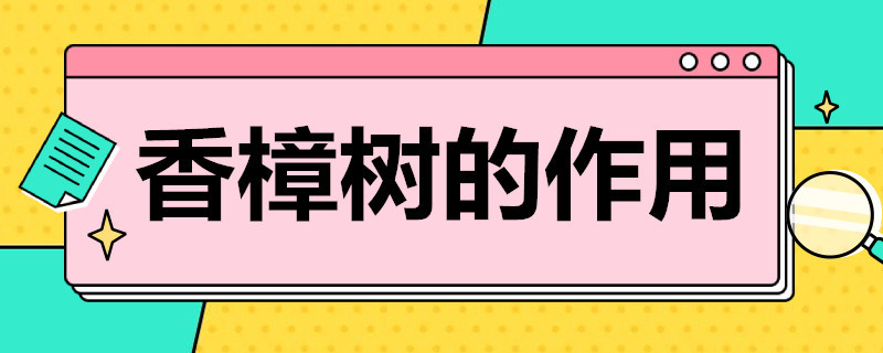 香樟树的作用 香樟树的作用与功效驱蚊