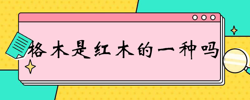 格木是红木的一种吗 红格木属于什么木