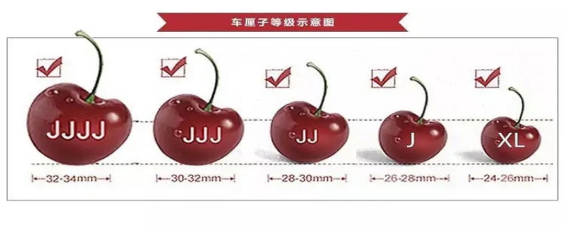 3jd代表什么意思