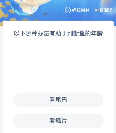 以下哪种办法有助于判断鱼的年龄？神奇海洋12月20日答案