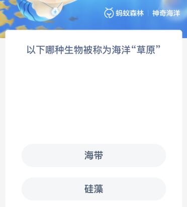 以下哪种生物被称为海洋“草原”（下列哪些是海洋植物）