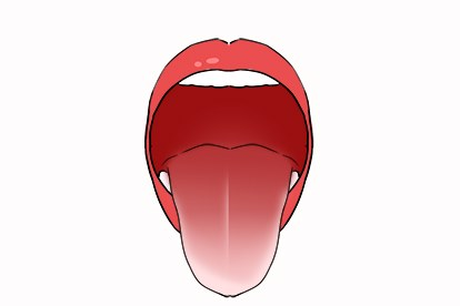 舌中线图片 舌下面正中线