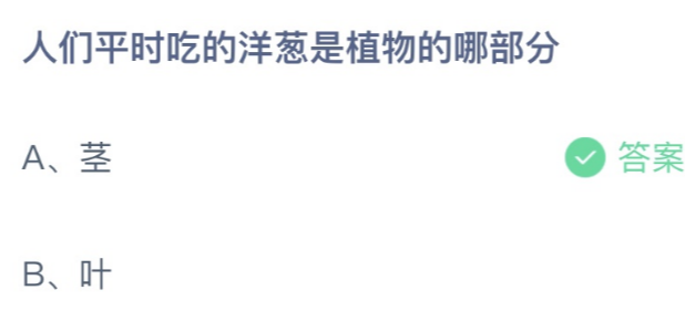 蚂蚁庄园答案最新2.11：人们平时吃的洋葱是植物的哪部分？