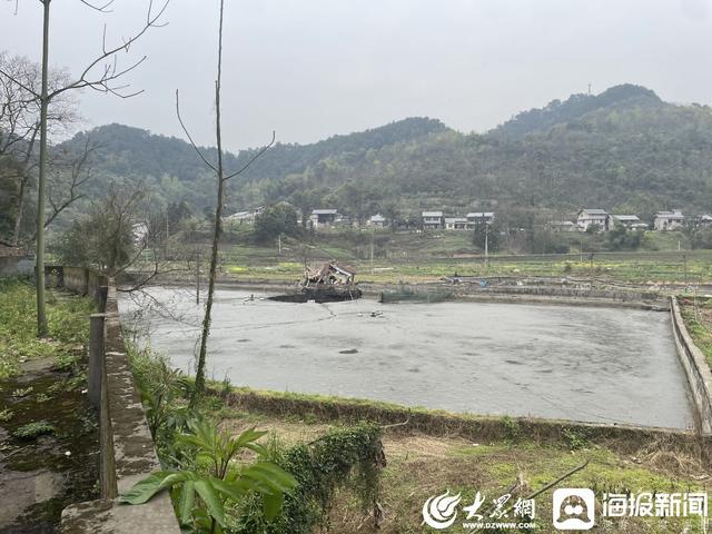 海报直击丨重庆一鱼塘地陷近2万斤鱼被“吞” 事发地为采煤沉陷区，此前附近也曾塌陷过