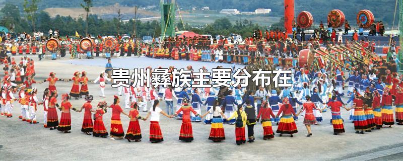 贵州彝族主要分布在 贵州彝族主要分布在哪些地方