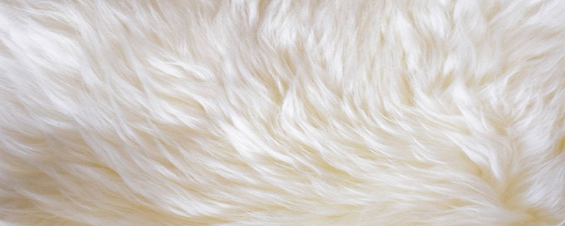 羊毛为什么会缩水 羊毛为什么会缩水的原因